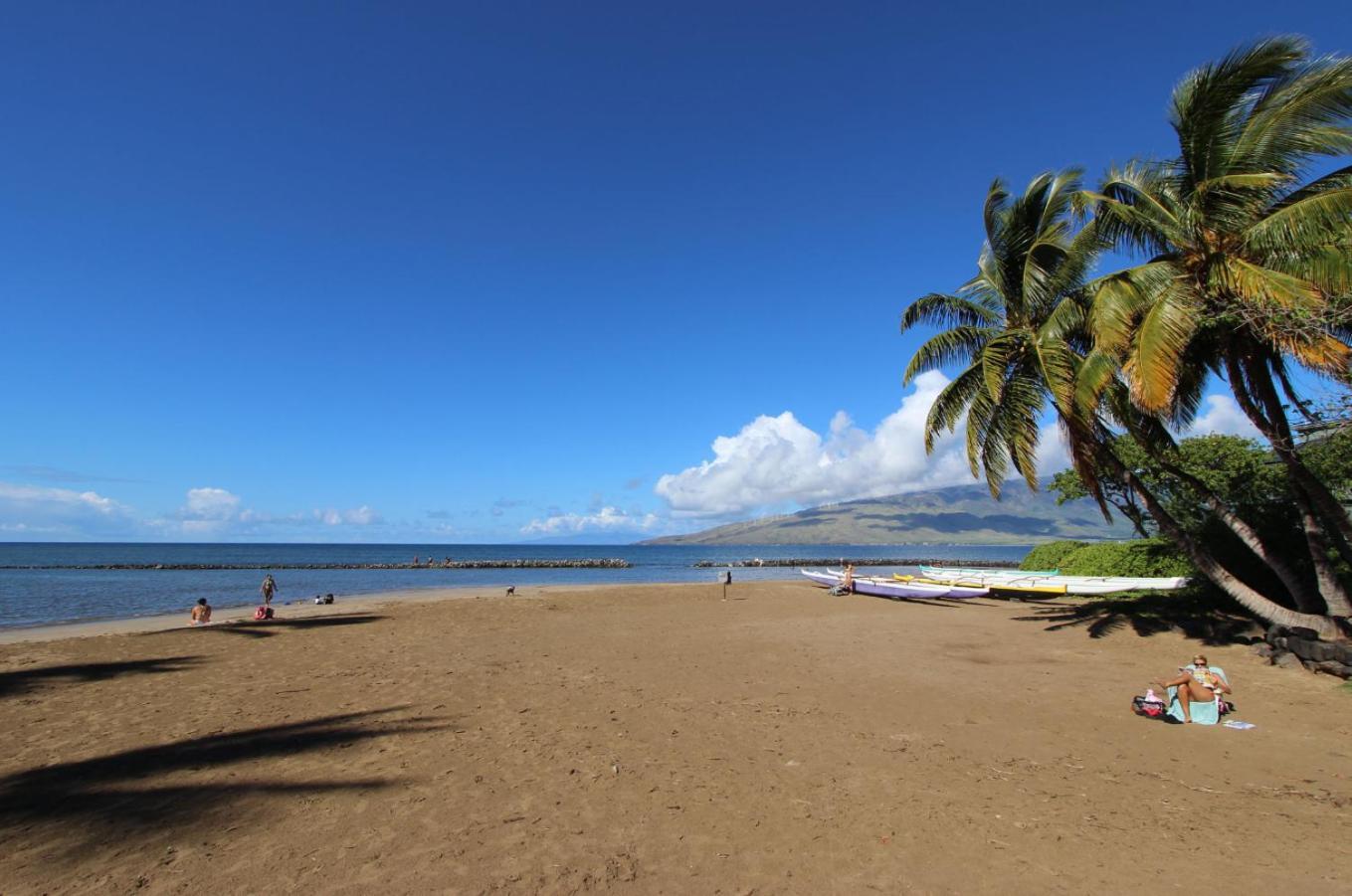 Cozy Maui Studio Retreat Just Steps To The Sand! Кіхеї Екстер'єр фото
